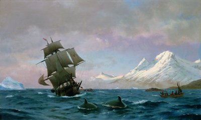 Catching whales, 1875 by J.E. Carl Rasmussen